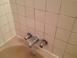 WHS_0001_2014-02-18 09.40.27.jpg