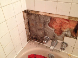 WHS_0003_2014-02-18 10.01.10.jpg