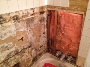 WHS_0004_2014-02-18 10.23.37.jpg