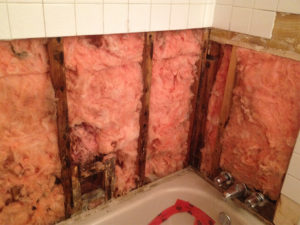 WHS_0010_2014-02-18 11.06.23.jpg